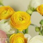 You Are My Flower - 10x10 ..